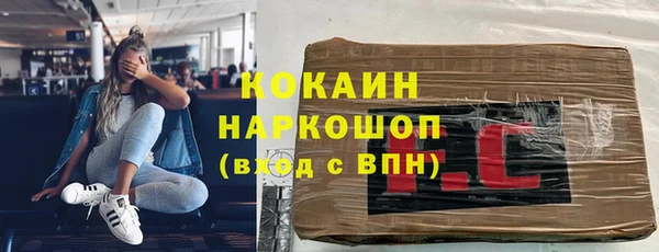 ПСИЛОЦИБИНОВЫЕ ГРИБЫ Верея