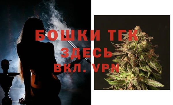 ПСИЛОЦИБИНОВЫЕ ГРИБЫ Верея