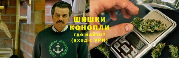 ПСИЛОЦИБИНОВЫЕ ГРИБЫ Верея