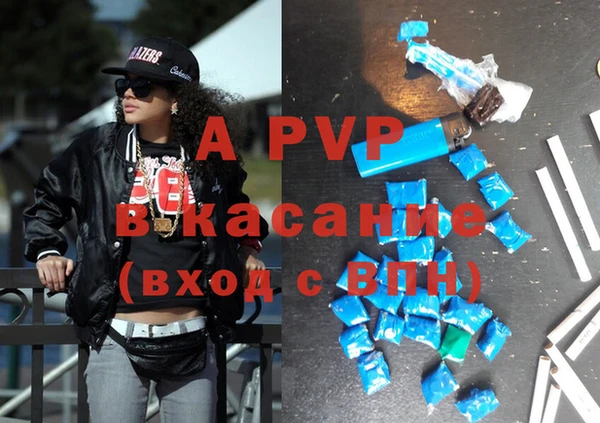 ПСИЛОЦИБИНОВЫЕ ГРИБЫ Верея