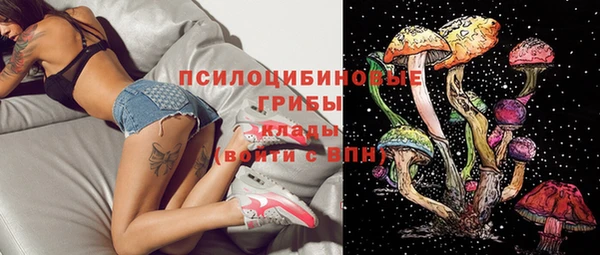ПСИЛОЦИБИНОВЫЕ ГРИБЫ Верея