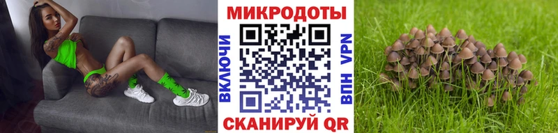 Купить где  Лангепас  Галлюциногенные грибы Psilocybine cubensis 